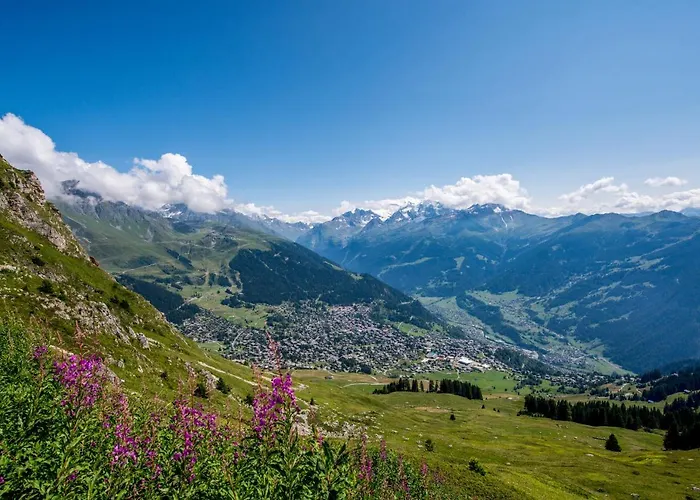 Jacky 7 Verbier