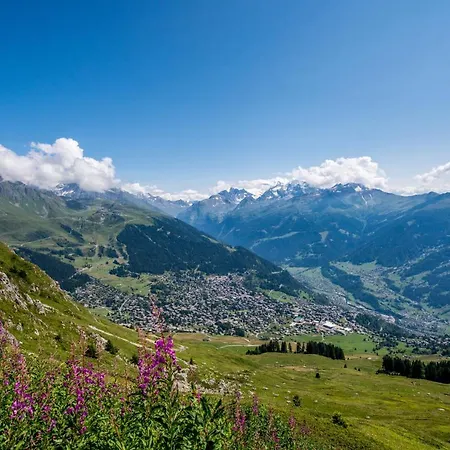 Jacky 7 Verbier
